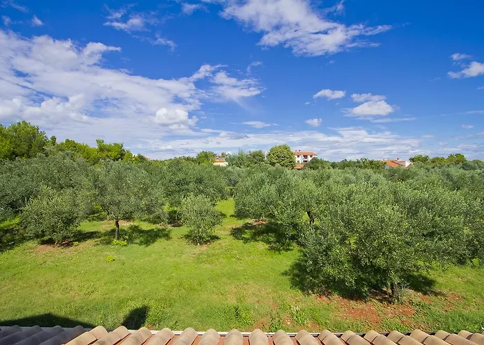 빌라 Matija & Mima 파자나